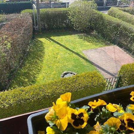Ferienwohnung „Thea“ Bad Lausick Exteriör bild