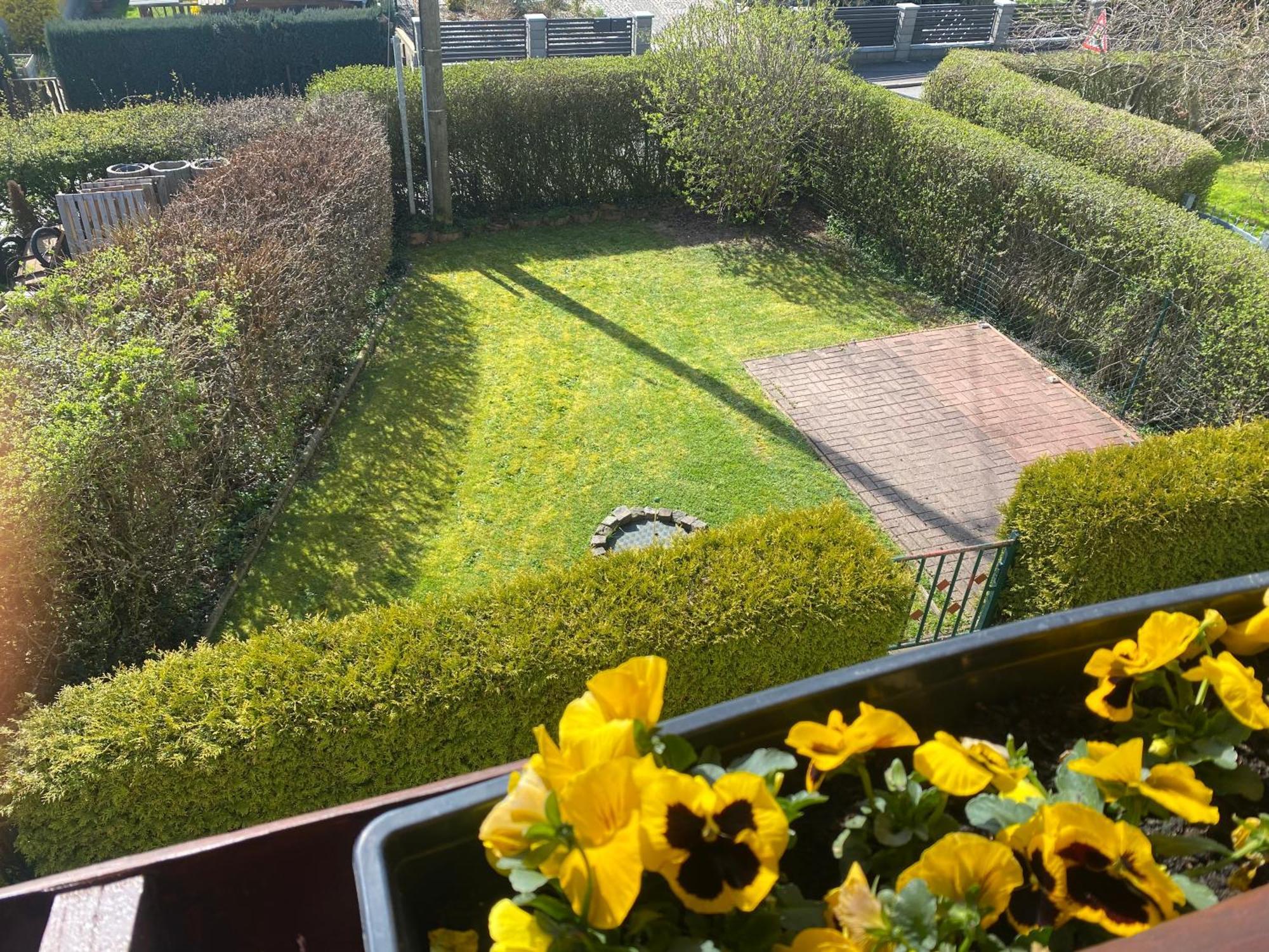 Ferienwohnung „Thea“ Bad Lausick Exteriör bild